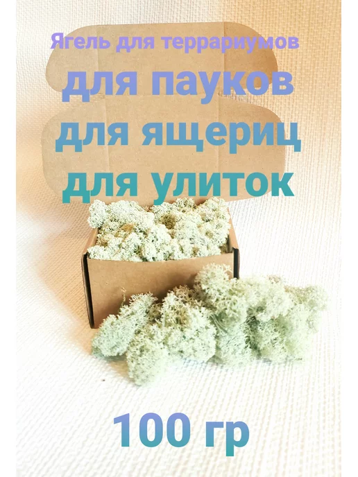 Norwegian Wood Ягель для Улиток для террариумов, вариант