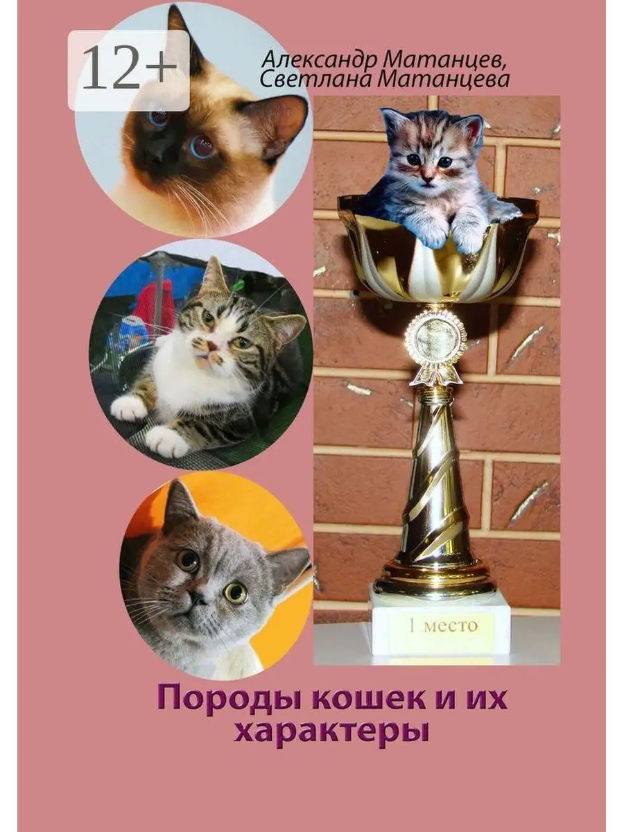 Балинез кошка описание. Американская бурма характер. Породы кошек и их характер. Породы кошек и характер. Породы кошек и их характер.