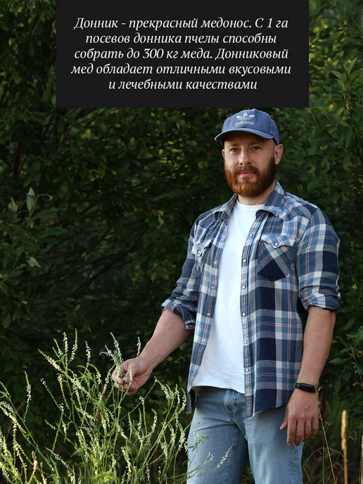 Добрый пасечник Донниковый мед густой 500 г, 500 г, фото 2