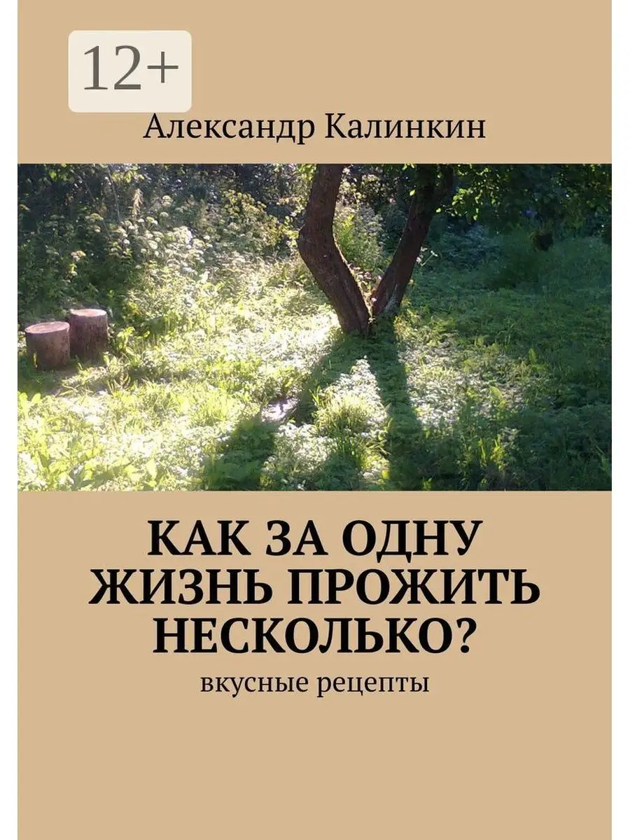 Как за одну жизнь прожить несколько? Ridero 36948860 купить за 507 ₽ в  интернет-магазине Wildberries