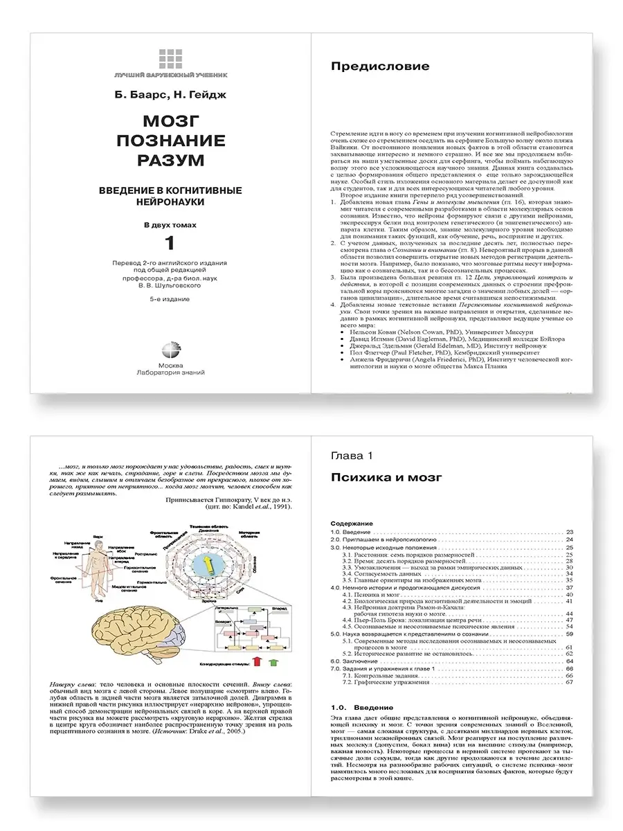 Мозг, познание, разум. В 2-х томах Лаборатория знаний 37043088 купить за 5  367 ₽ в интернет-магазине Wildberries