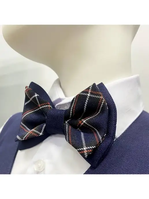 SENS FASHION Галстук бабочка школьный голубая клетка, красный, фото 3
