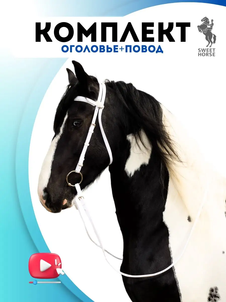 Комплект оголовье + повод для лошади Sweethorse 37133962 купить за 2 824 ₽  в интернет-магазине Wildberries