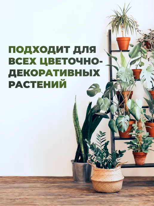 Сила Суздаля Земля для цветов комнатных 5 литров, вариант, фото 5