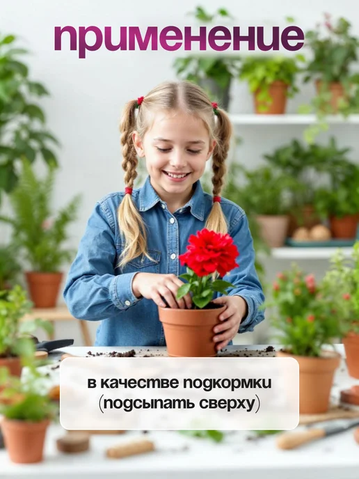 Сила Суздаля Земля для цветов комнатных 5 литров, вариант, фото 6