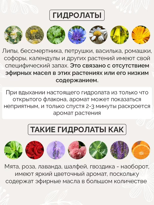 Скифия Гидролат бессмертника натуральный для лица, вариант, фото 7