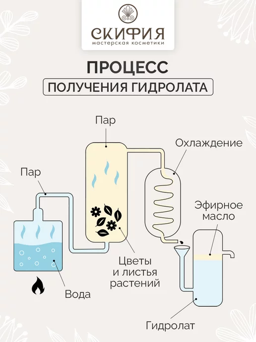 Скифия Гидролат василька спрей для лица и тела, вариант, фото 4
