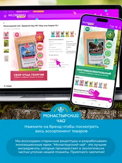 Лучшие сорта и бренды зеленого чая: подробный гид