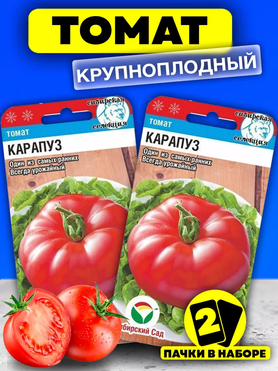 Томат пузо карапуза. Томат карапуз. Томаты карапуз описание. Томаты карапуз описание. Томаты карапуз описание.