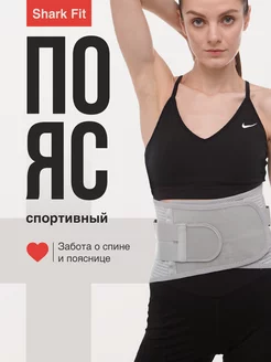 Пояс для спины спортивный поддерживающий Shark Fit 37341958 купить за 322 ₽ в интернет-магазине Wildberries