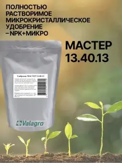 Удобрение Мастер 13.40.13 100 г Valagro 37378155 купить за 331 ₽ в интернет-магазине Wildberries