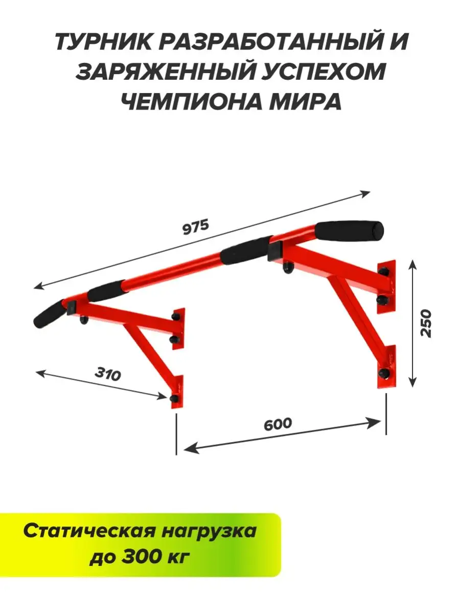 Турник настенный для спорта тренажер спортивный инвентарь Absolute Champion  37381929 купить в интернет-магазине Wildberries