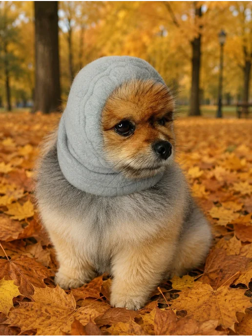 Patriky Шапка для соба животных, серый