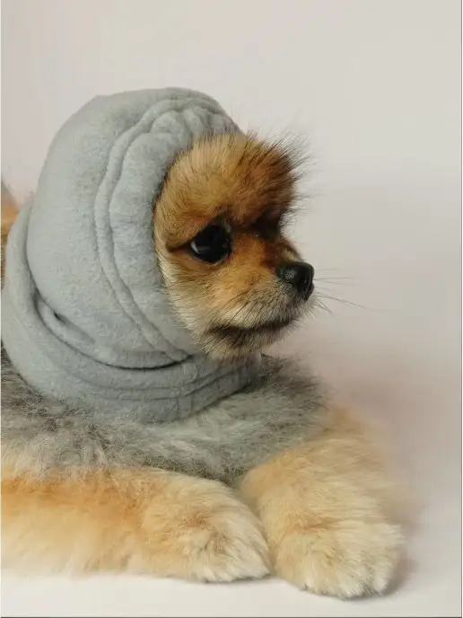 Patriky Шапка для соба животных, серый, фото 2