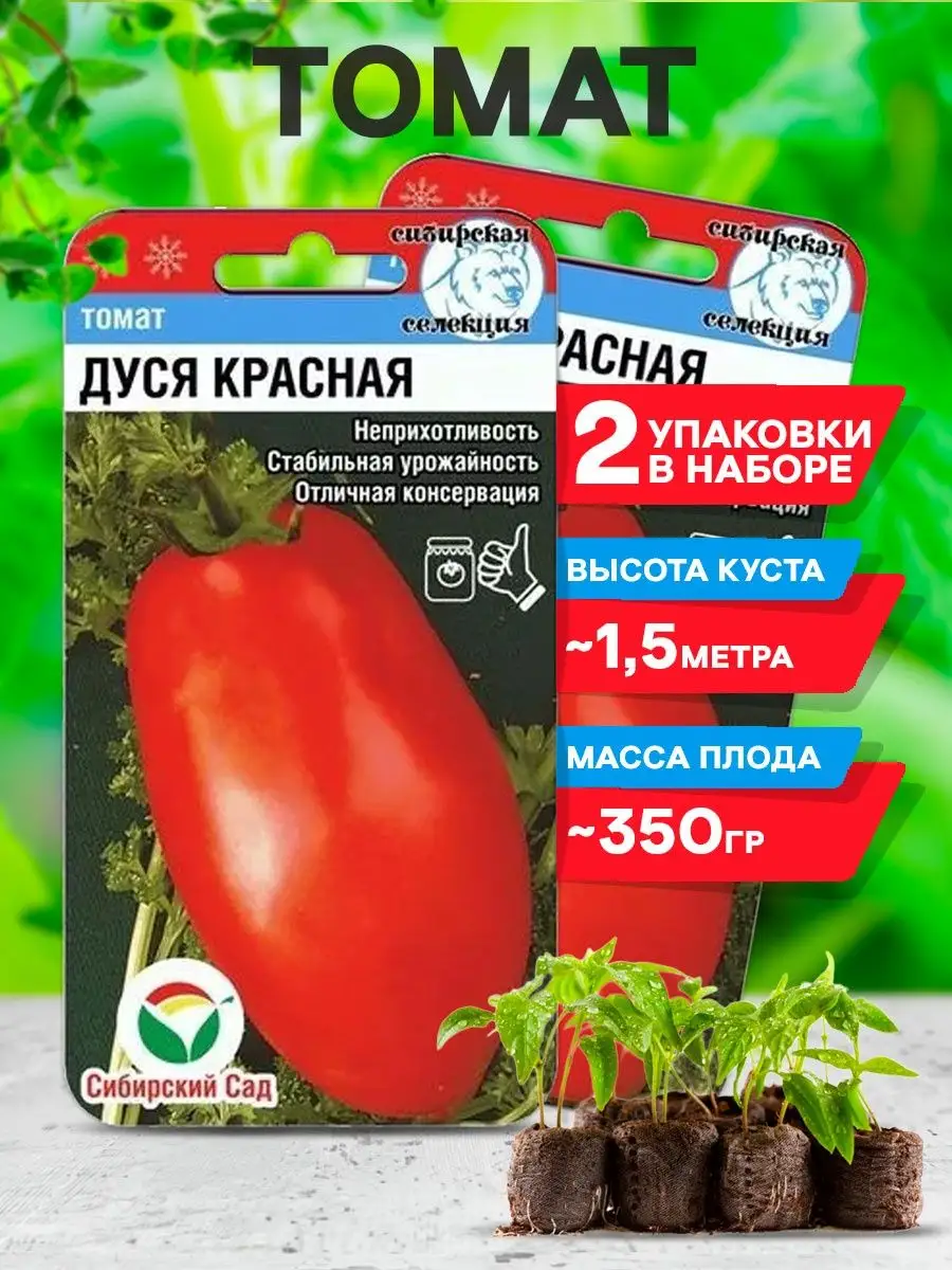 Дуся красная томат отзывы. Томат Дуся. Томат Дуся красная /Сиб.сад/ 20 шт. Помидоры Дуся красная. Томат Дуся желтая.