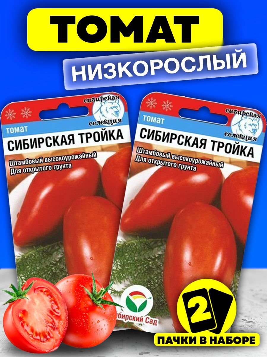 Помидоры сибирская тройка отзывы. Помидоры Сибирская тройка. Томат Сибирская тройка характеристика. Томат Сибирская тройка фото.