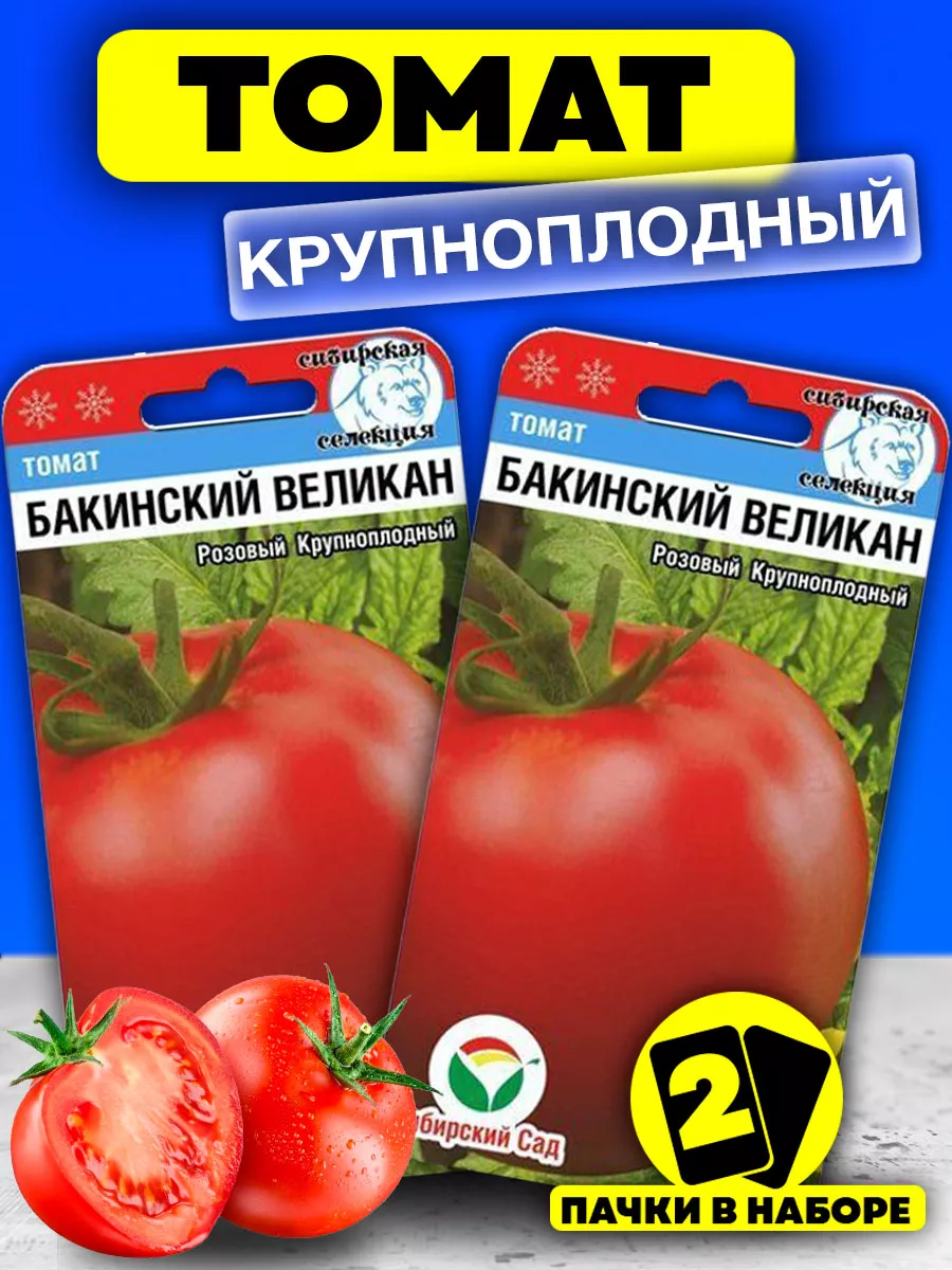 Бакинское 622. Томат Бакинские 622. Томат Бакинский великан. Помидоры Шунтукский великан. Сибирский великан томат удобрение.