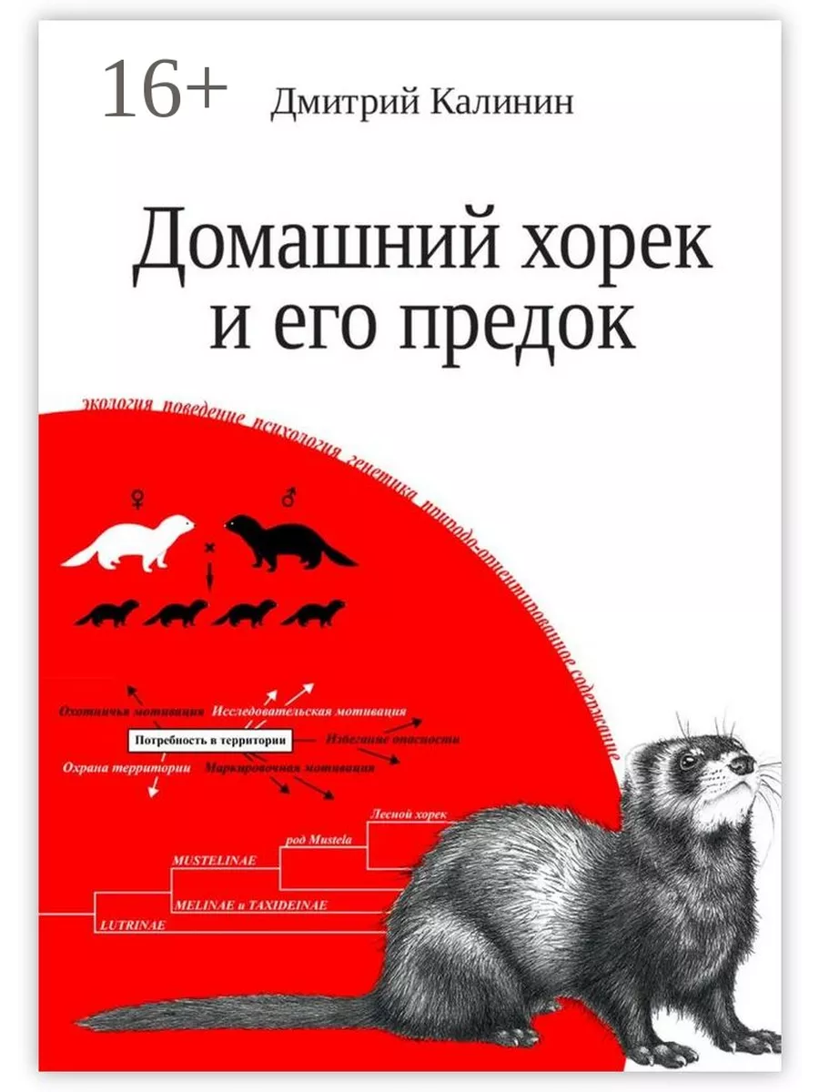 Домашний хорек и его предок Ridero 37440632 купить за 1 254 ₽ в  интернет-магазине Wildberries