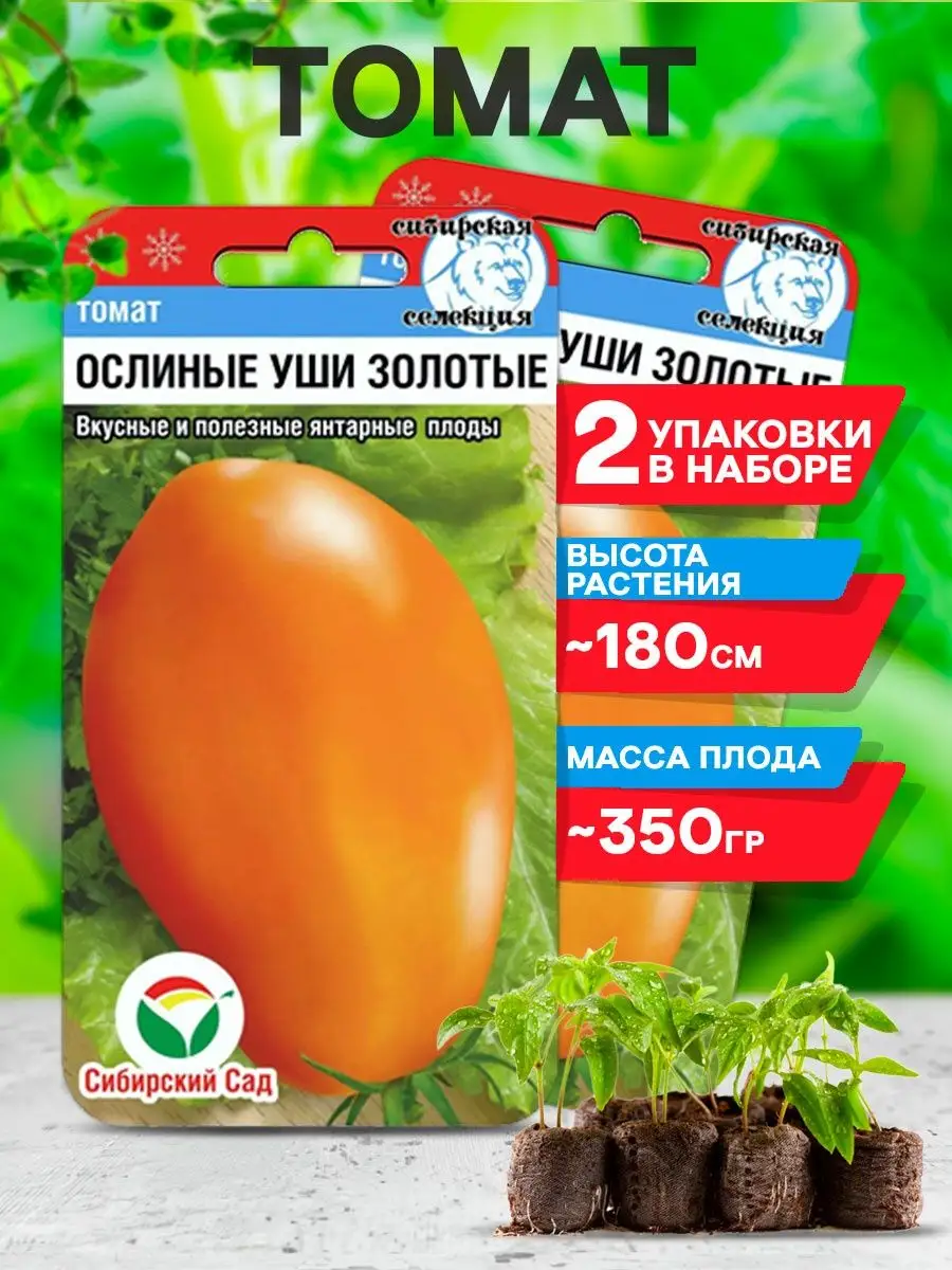 Томат ослиные уши золотые отзывы фото