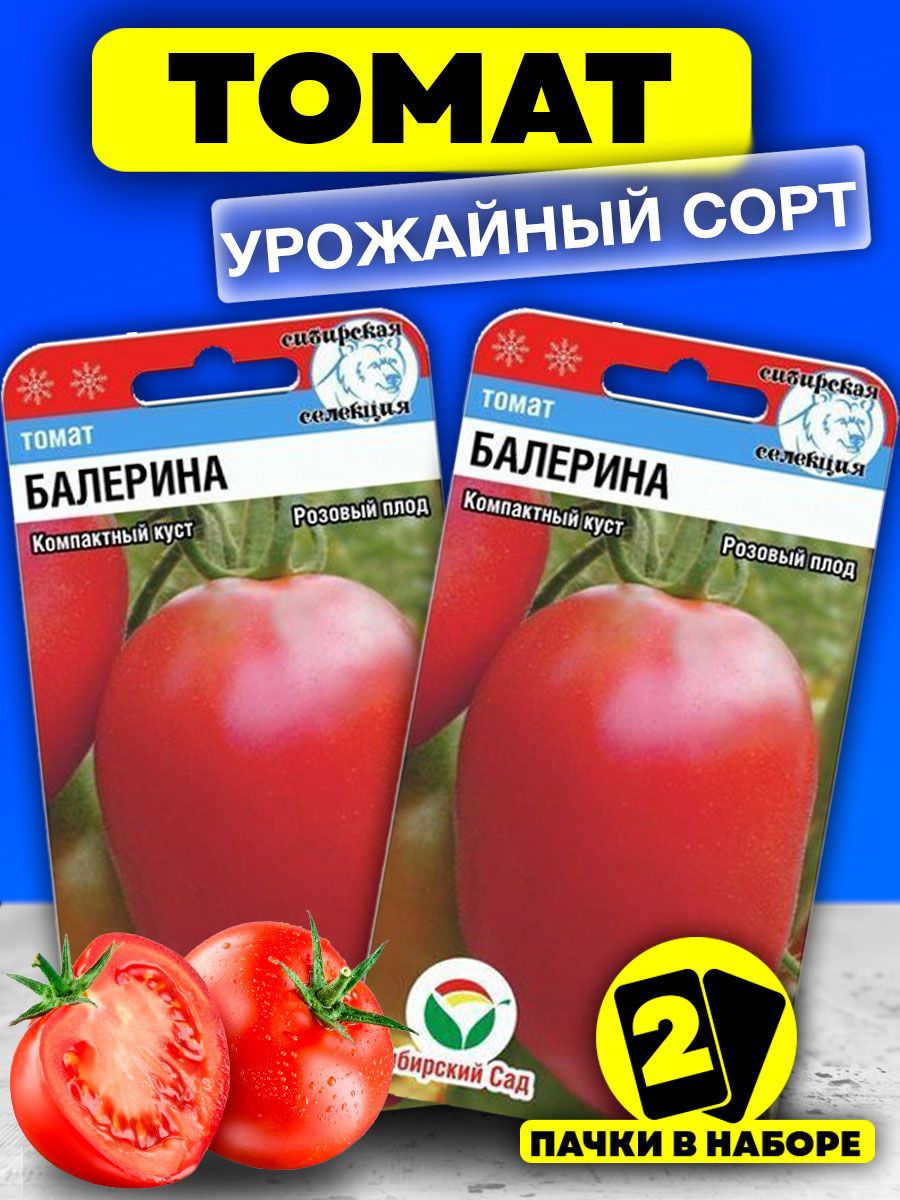 Томат балерина. Томат Фрекен бок Сибирский сад. Томат батяня. Семена томатов для открытого грунта. Семена комнатных томатов.