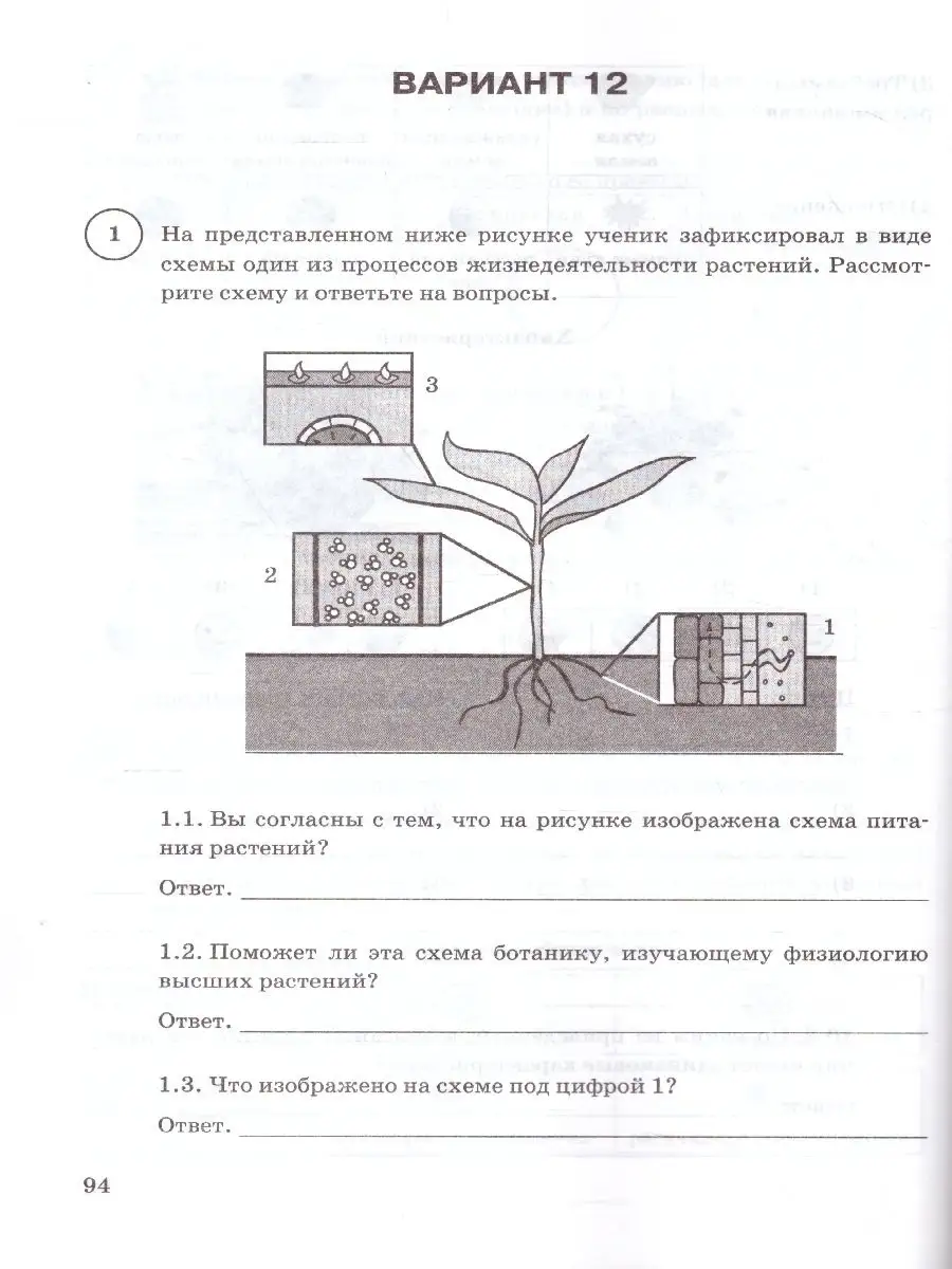 ВПР по биологии 6 класс 15 вариантов. ВПР по биологии 6 класс 2020.