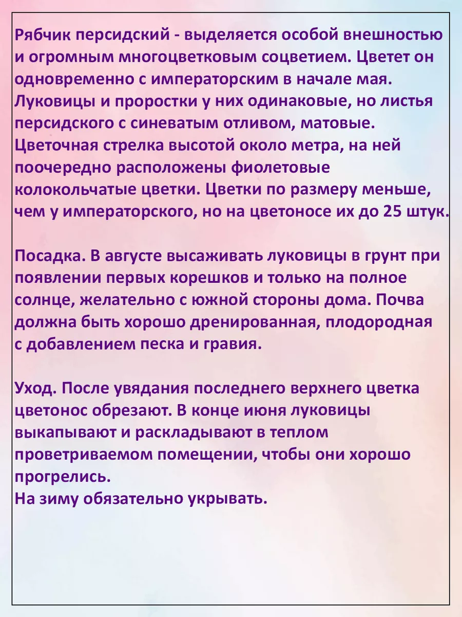 Рябчик персидский, 1шт Агрохолдинг Поиск 37776322 купить в  интернет-магазине Wildberries