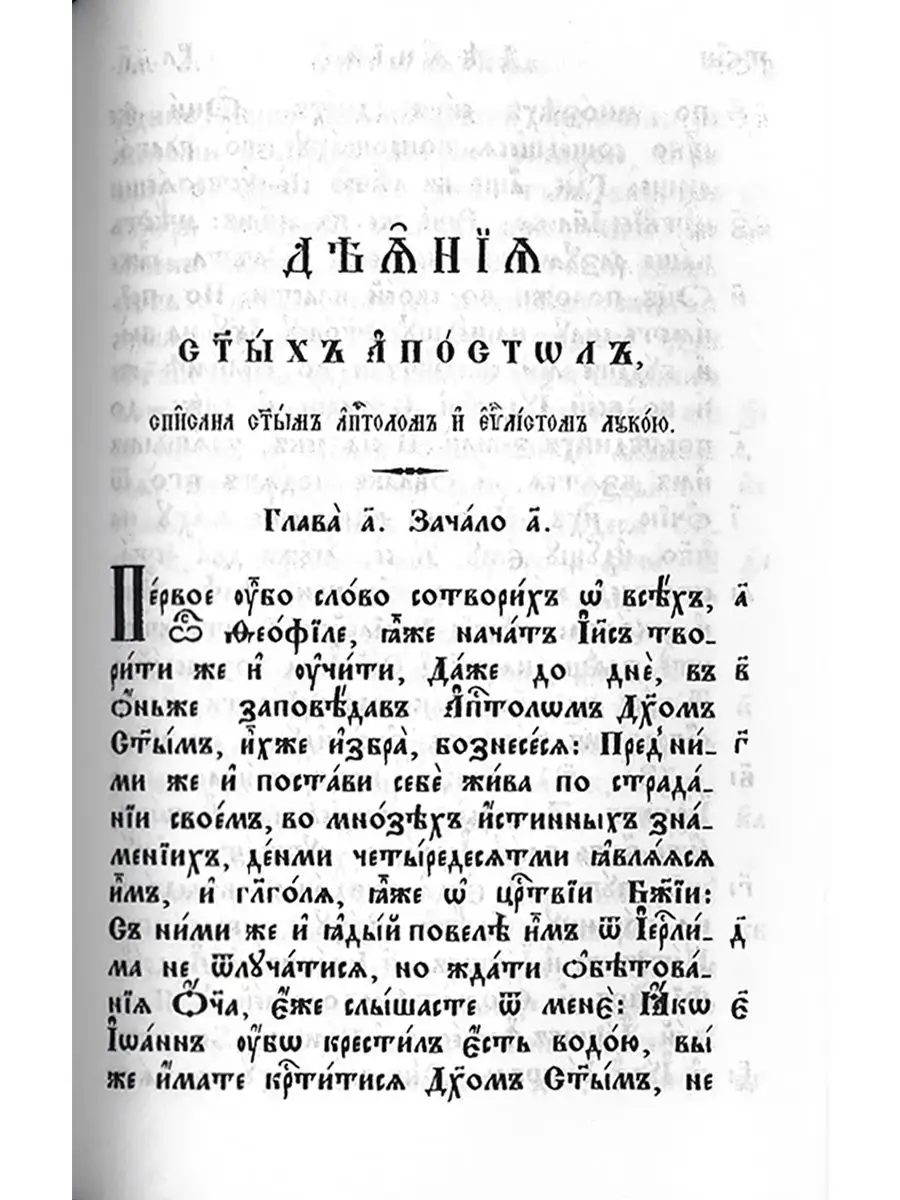 Библия. Новый Завет Господа нашего Иисуса Христа Правило веры 37842926  купить за 1 255 ₽ в интернет-магазине Wildberries