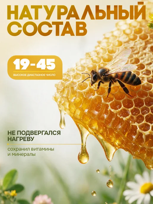 Алтай эко продукт Мед натуральный свежий сбор август 2026г разнотравье 1,2 кг, 2026 г, 1,2 кг, фото 2