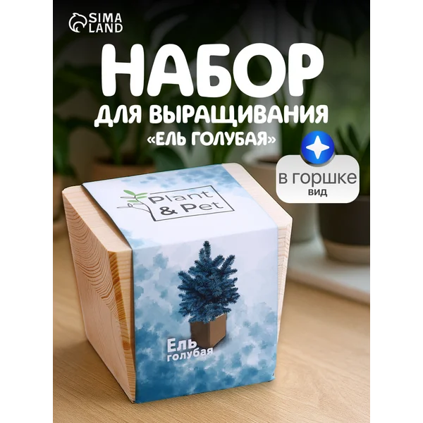Набор для выращивания растений ель