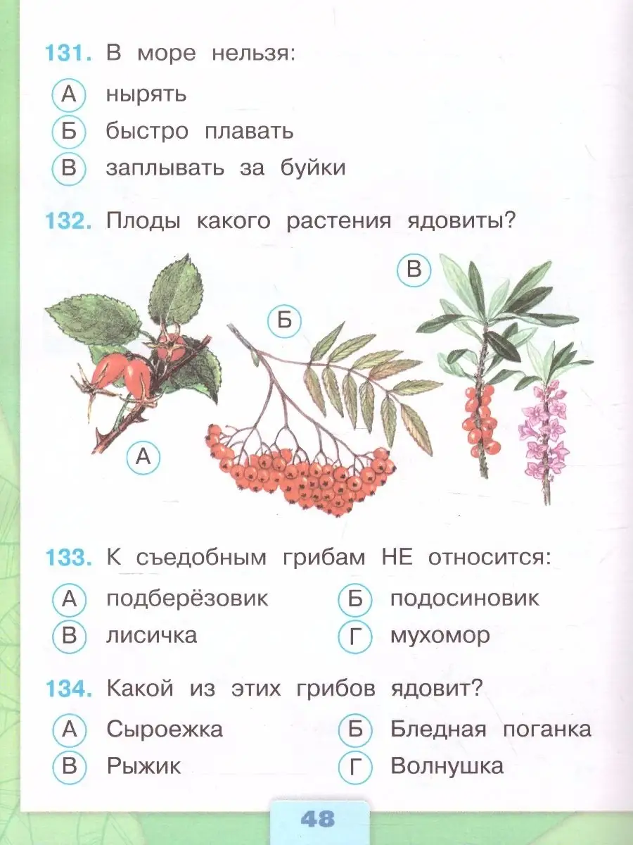 Окружающий мир 2 класс. Тесты. ФГОС Просвещение 37957175 купить в  интернет-магазине Wildberries