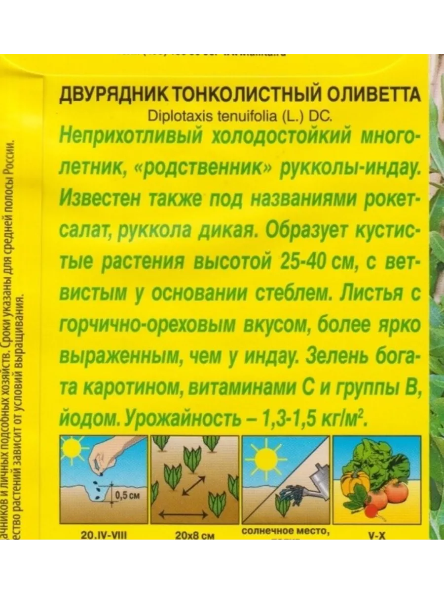 Руккола дикая ОЛИВЕТТА 0,3г. ДАЧА ОНЛАЙН 38412663 купить в  интернет-магазине Wildberries