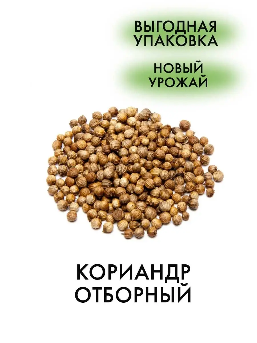 Где Купить Семена Кинзы