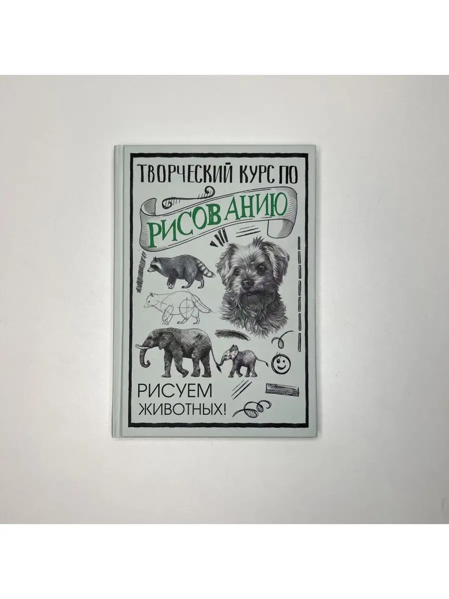 Издательство АСТ Творческий курс по рисованию. Рисуем