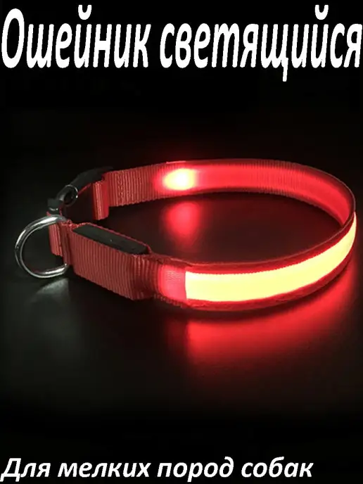 Korenmarket Ошейник для мелких пород светящийся, красный
