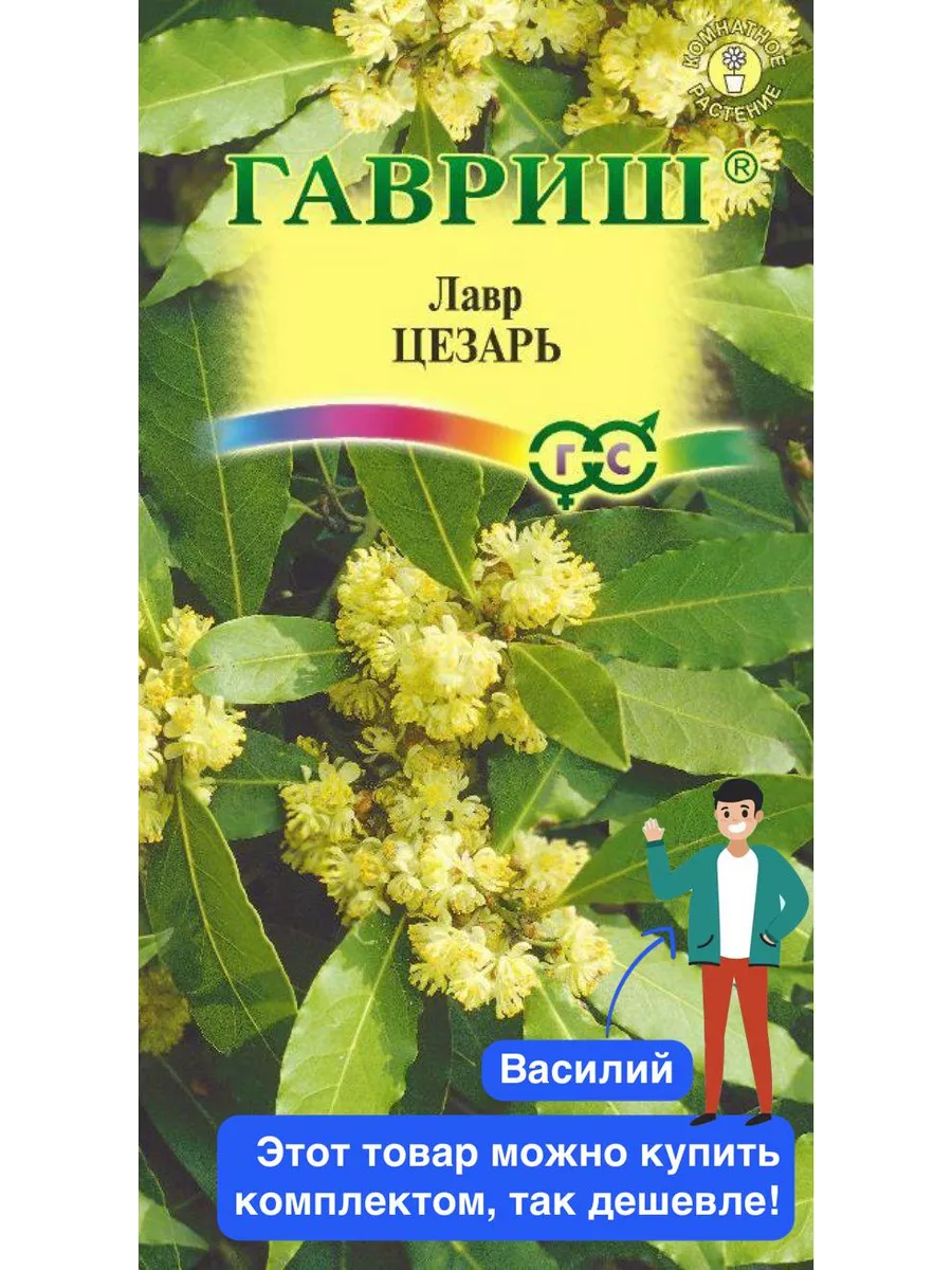 Цветы Лавр благородный Цезарь Гавриш 38481813 купить в интернет-магазине  Wildberries