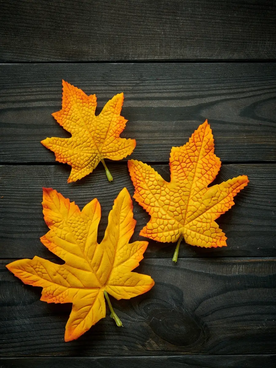 Осенние листья в интерьере: 7 простых и стильных идей