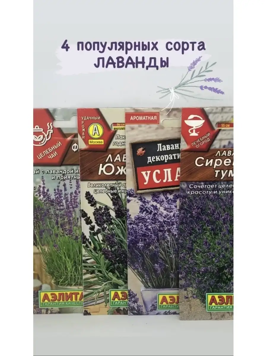 Семена Набор: 4 сорта ЛАВАНДЫ: УСЛАДА; СИРЕНЕВЫЙ ТУМАН; ЮЖАНКА; ФРАНЦУЗСКИЙ  БУКЕТ. Лаванда 38578316 купить за 300 ₽ в интернет-магазине Wildberries