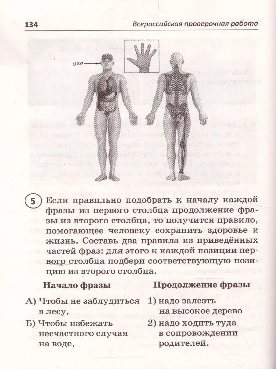 ВПР Окружающий мир 4 класс Издательство Афина 38677405 купить за 342 ₽ в  интернет-магазине Wildberries