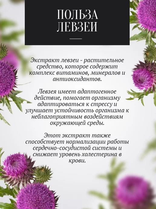 Добрый пасечник Мед левзеи (маралий корень) 1 кг, для иммунитета, 1 кг, фото 3