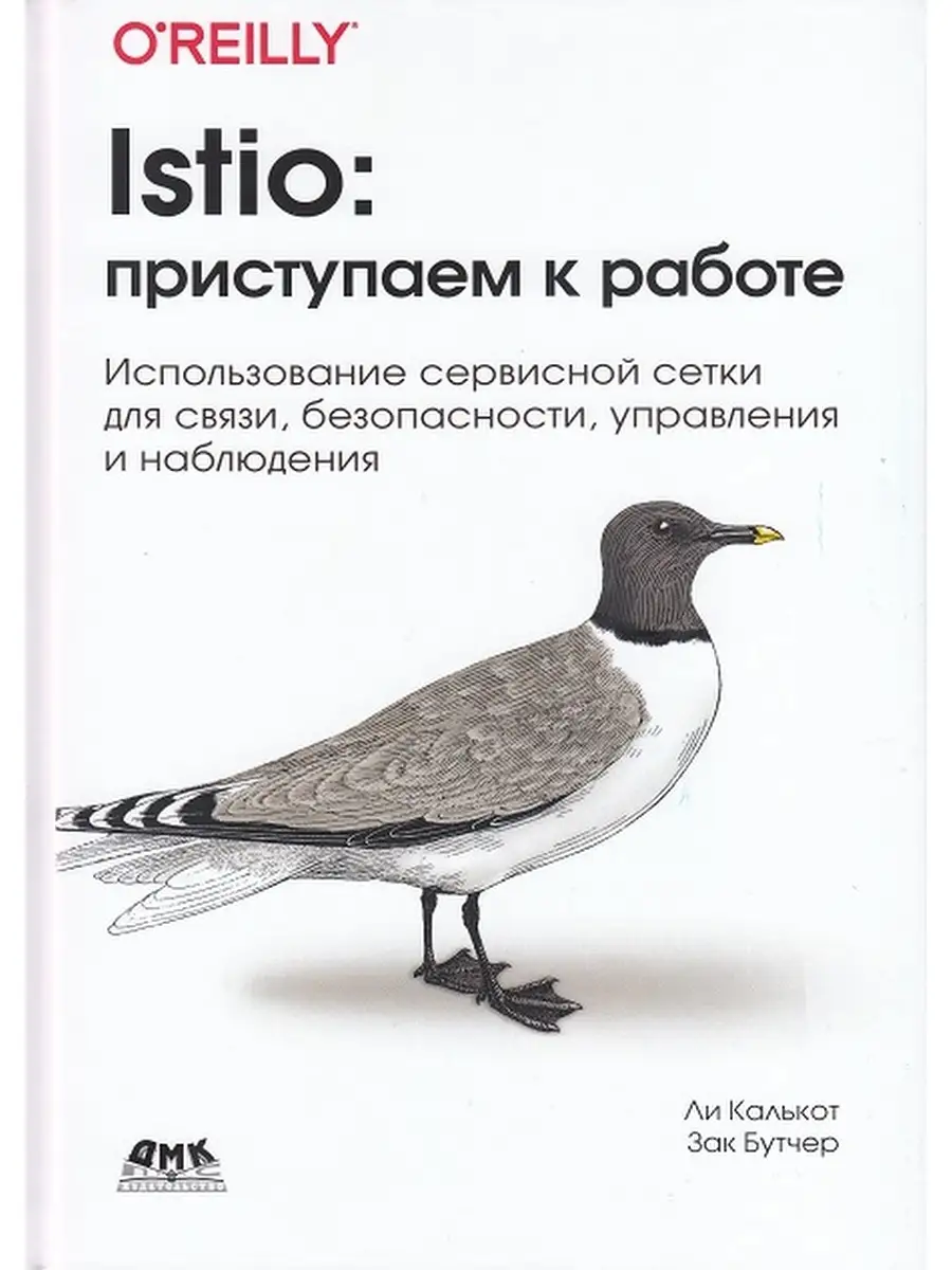 Istio: приступаем к работе Издательство ДМК Пресс 38760779 купить за 1 037  ₽ в интернет-магазине Wildberries