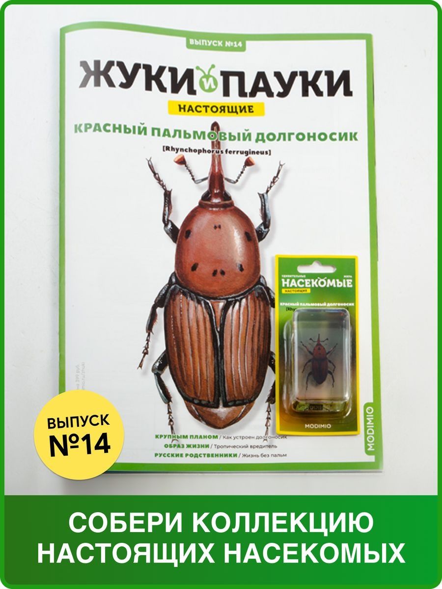 Жуки и пауки №14 Красный долгоносик MODIMIO 38765771 купить в  интернет-магазине Wildberries