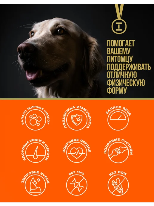 Сухой корм Profifeed для собак, мелкие, средние, 10 кг, фото 3
