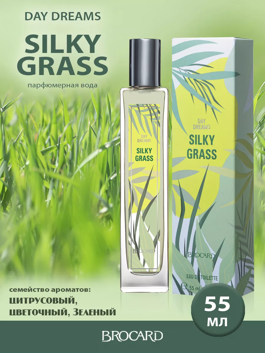 DAY DREAMS SILKY GRASS Грезы Шелковая трава жен. т.в. 55 мл BROCARD 38951169 купить за 332 ₽ в интернет-магазине Wildberries