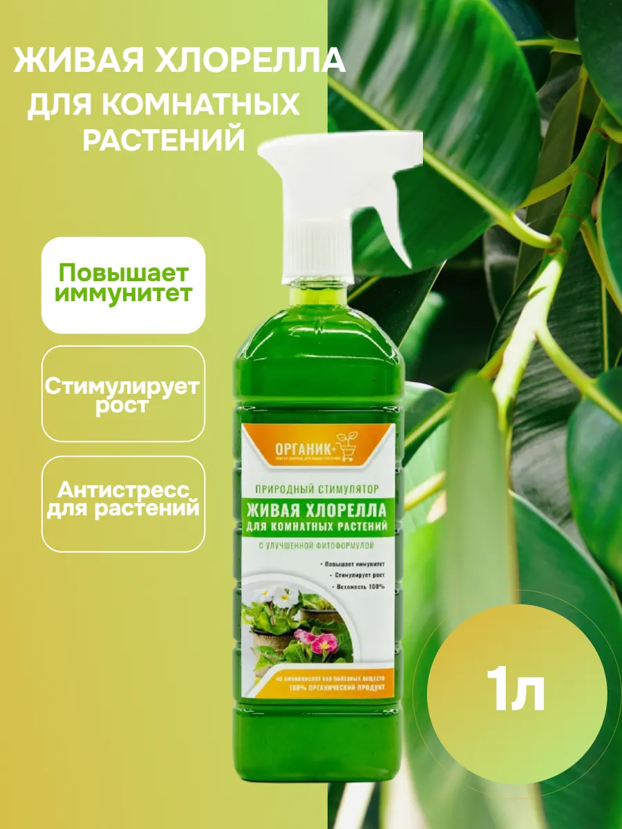 Хлорелла для комнатных...