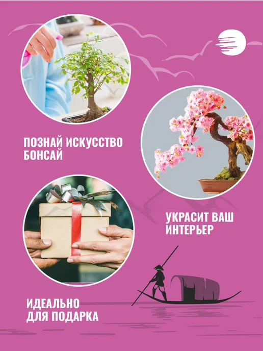 ЭкоКлуб Набор для выращивания растений бонсай Сакура, вариант, фото 3