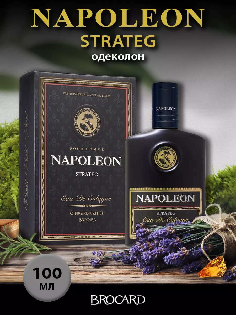 Napoleon Strateg/Наполеон Стратег муж. одек. 100 мл edc BROCARD 38975419  купить за 481 ₽ в интернет-магазине Wildberries