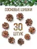 Сосновые шишки для поделок Творческие Мастерские 38983713 купить за 250 ₽ в интернет‑магазине Wildberries