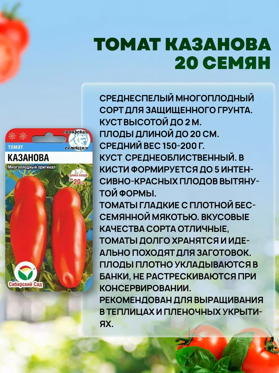 Семена Томатов Казанова многоплодный Сибирский сад 38988011 купить за 185 ₽  в интернет-магазине Wildberries