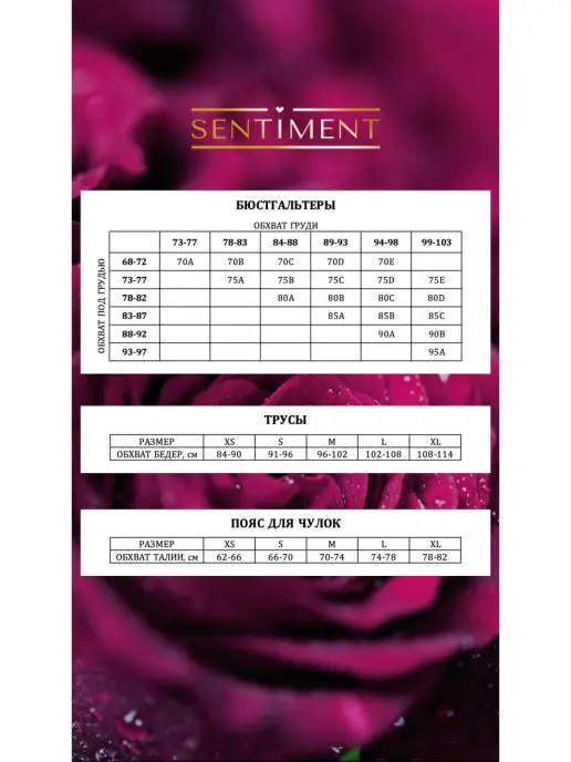 SENTIMENT Пояс для чулок, голубой, фото 3