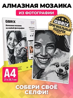 Алмазная мозаика по фотографии ORIGINAL QBRIX 39050253 купить за 990 ₽ в интернет-магазине Wildberries